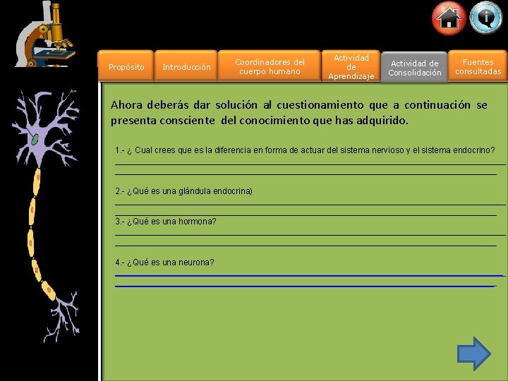 Propósito Introducción Coordinadores del cuerpo humano Actividad de Aprendizaje Actividad de Consolidación Fuentes consultadas