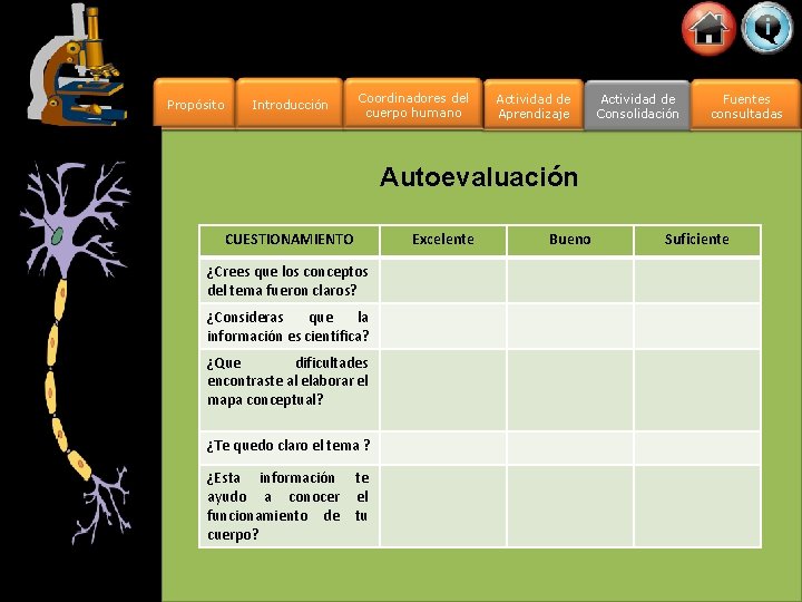 Propósito Introducción Coordinadores del cuerpo humano Actividad de Aprendizaje Actividad de Consolidación Fuentes consultadas