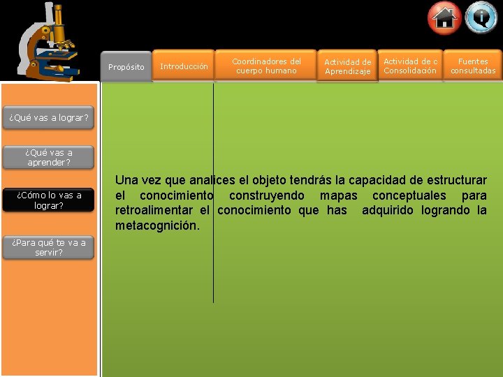 Propósito Introducción Coordinadores del cuerpo humano Actividad de Aprendizaje Actividad de c Consolidación Fuentes