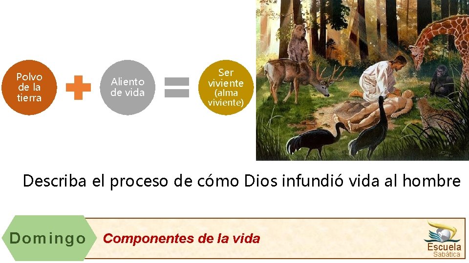 Polvo de la tierra Aliento de vida Ser viviente (alma viviente) Describa el proceso