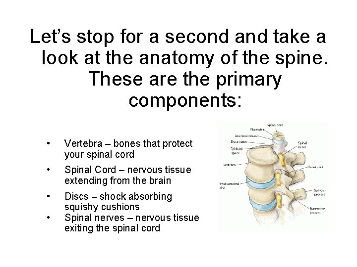 Let’s stop for a second and take a look at the anatomy of the