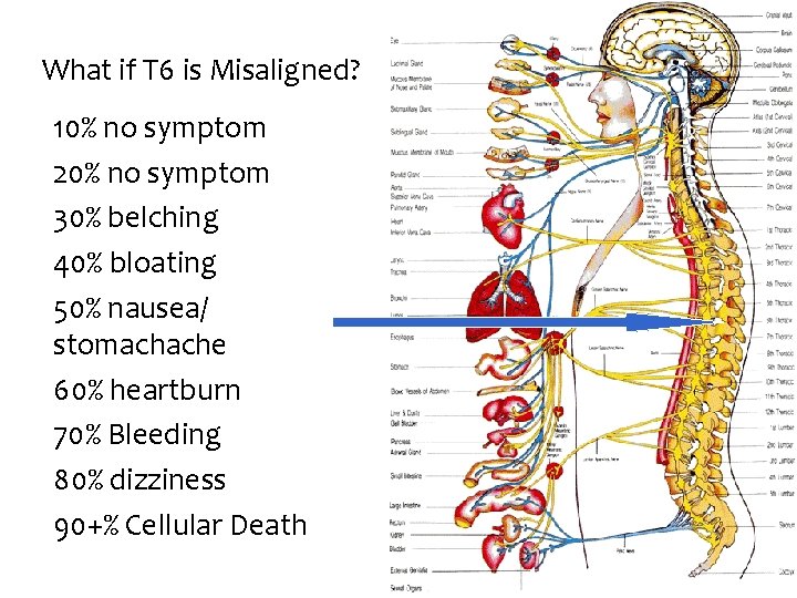 What if T 6 is Misaligned? • • • 10% no symptom 20% no