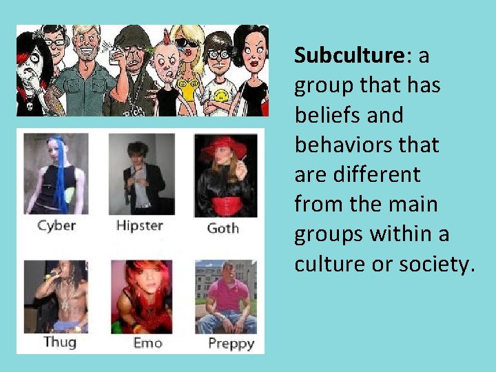 Subculture: a group that has beliefs and behaviors that are different from the main