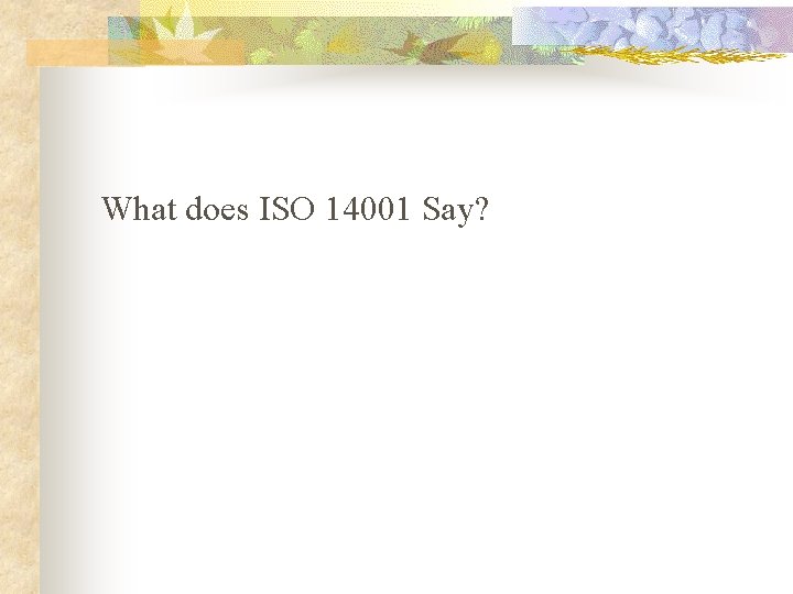 What does ISO 14001 Say? 