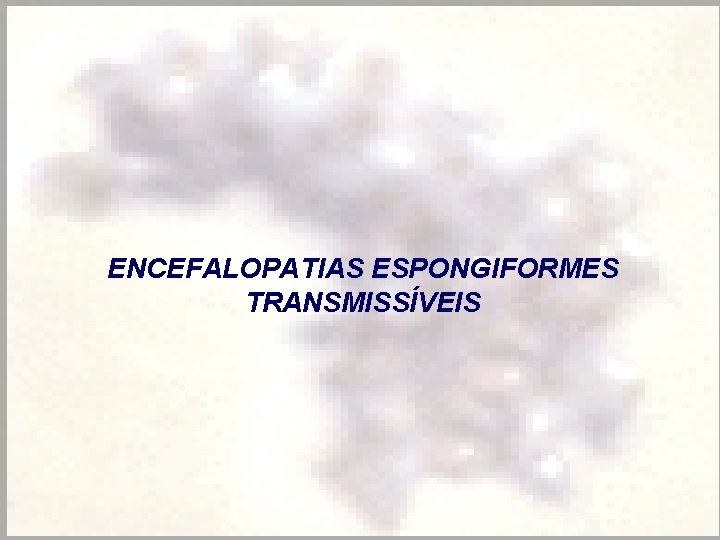 ENCEFALOPATIAS ESPONGIFORMES TRANSMISSÍVEIS 