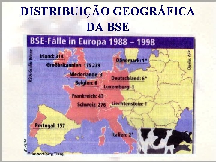 DISTRIBUIÇÃO GEOGRÁFICA DA BSE 