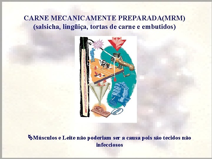 CARNE MECANICAMENTE PREPARADA(MRM) (salsicha, lingüiça, tortas de carne e embutidos) Músculos e Leite não