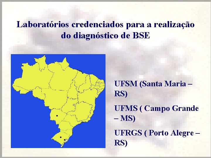 Laboratórios credenciados para a realização do diagnóstico de BSE UFSM (Santa Maria – RS)