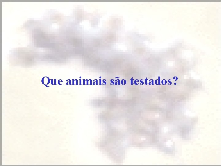 Que animais são testados? 