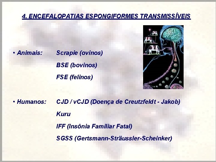 4. ENCEFALOPATIAS ESPONGIFORMES TRANSMISSÍVEIS • Animais: Scrapie (ovinos) BSE (bovinos) FSE (felinos) • Humanos: