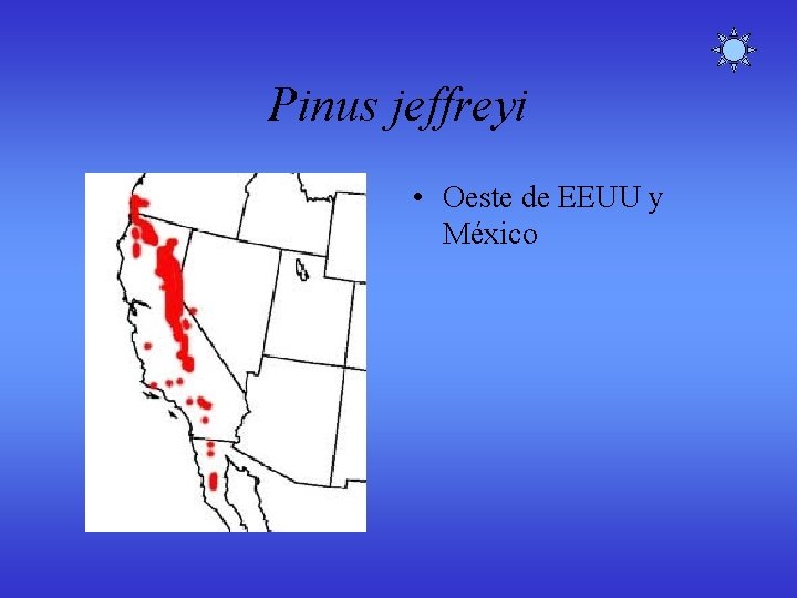 Pinus jeffreyi • Oeste de EEUU y México Pinus jeffreyi • Oeste de EEUU y México