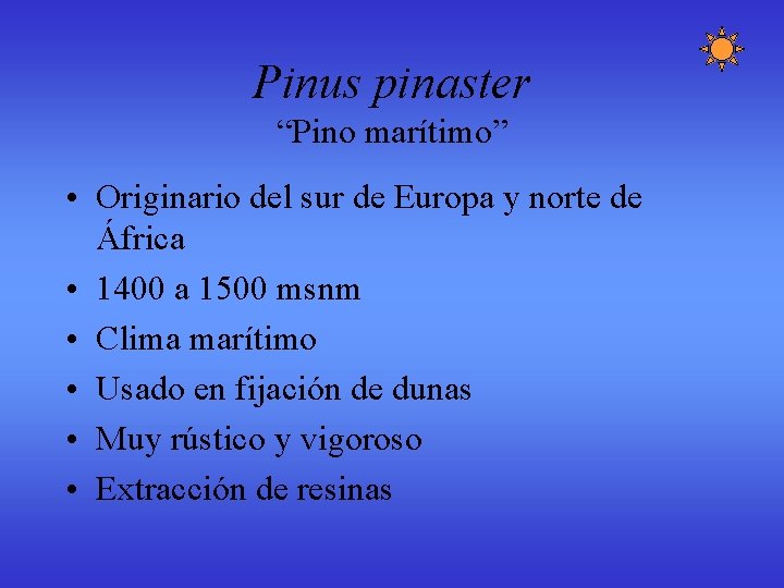 Pinus pinaster “Pino marítimo” • Originario del sur de Europa y norte de África Pinus pinaster “Pino marítimo” • Originario del sur de Europa y norte de África