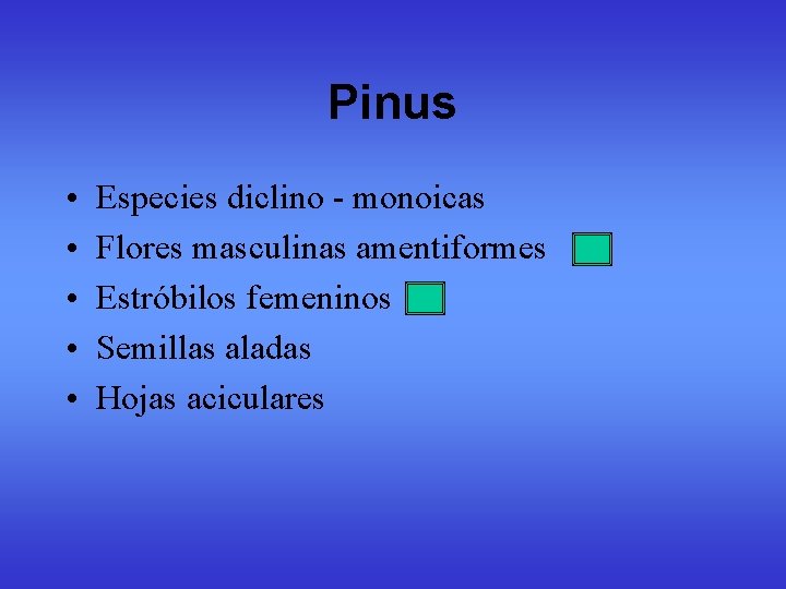 Pinus • • • Especies diclino - monoicas Flores masculinas amentiformes Estróbilos femeninos Semillas Pinus • • • Especies diclino - monoicas Flores masculinas amentiformes Estróbilos femeninos Semillas