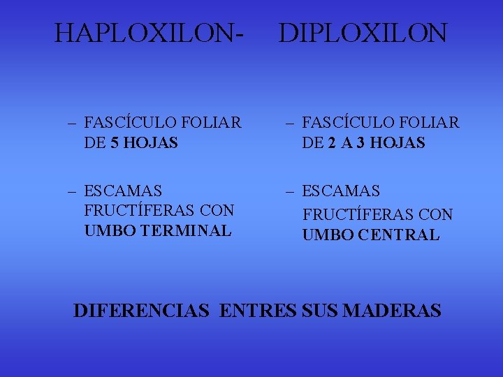 HAPLOXILON- DIPLOXILON – FASCÍCULO FOLIAR DE 5 HOJAS – FASCÍCULO FOLIAR DE 2 A HAPLOXILON- DIPLOXILON – FASCÍCULO FOLIAR DE 5 HOJAS – FASCÍCULO FOLIAR DE 2 A