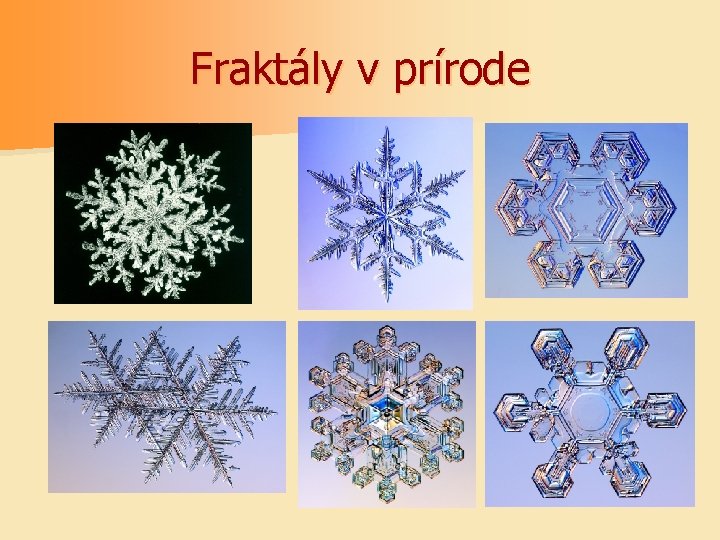 Fraktály v prírode 