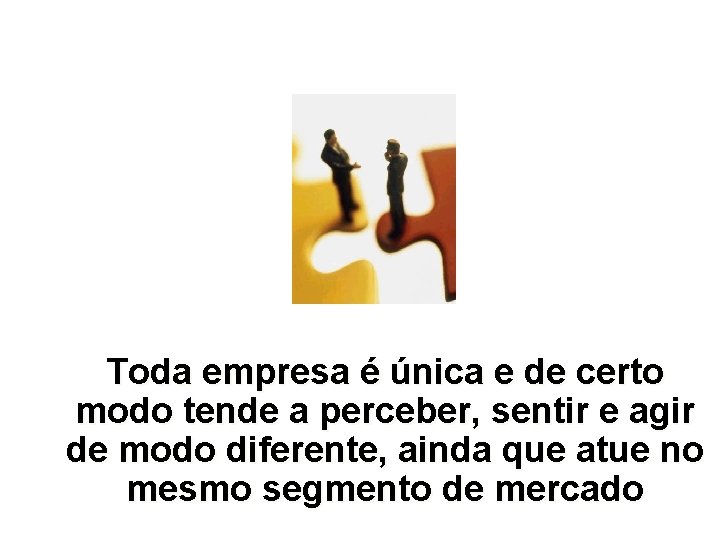 Toda empresa é única e de certo modo tende a perceber, sentir e agir