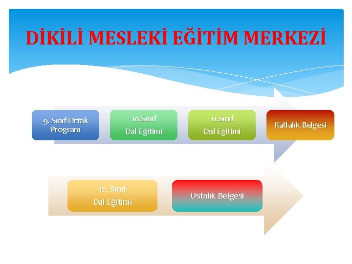 DİKİLİ MESLEKİ EĞİTİM MERKEZİ 9. Sınıf Ortak Program 10. Sınıf Dal Eğitimi 12. Sınıf