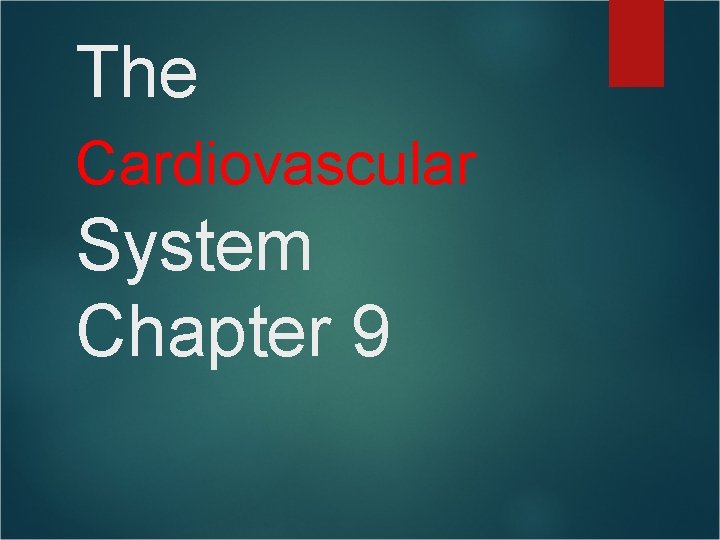 The Cardiovascular System Chapter 9 The Cardiovascular System Chapter 9
