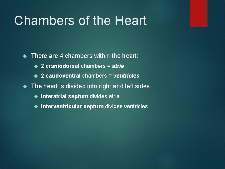 Chambers of the Heart There are 4 chambers within the heart: 2 craniodorsal chambers Chambers of the Heart There are 4 chambers within the heart: 2 craniodorsal chambers