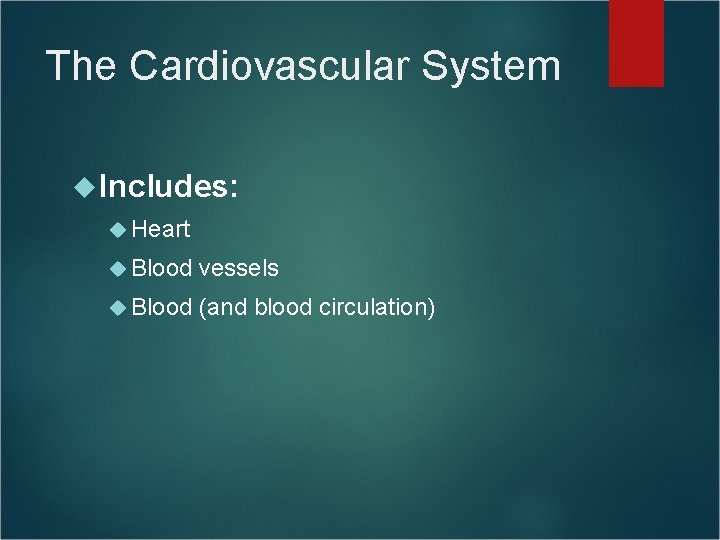 The Cardiovascular System Includes: Heart Blood vessels Blood (and blood circulation) The Cardiovascular System Includes: Heart Blood vessels Blood (and blood circulation)