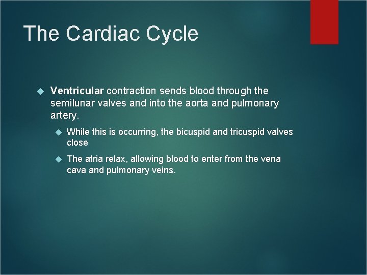 The Cardiac Cycle Ventricular contraction sends blood through the semilunar valves and into the The Cardiac Cycle Ventricular contraction sends blood through the semilunar valves and into the