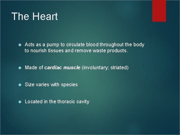 The Heart Acts as a pump to circulate blood throughout the body to nourish The Heart Acts as a pump to circulate blood throughout the body to nourish