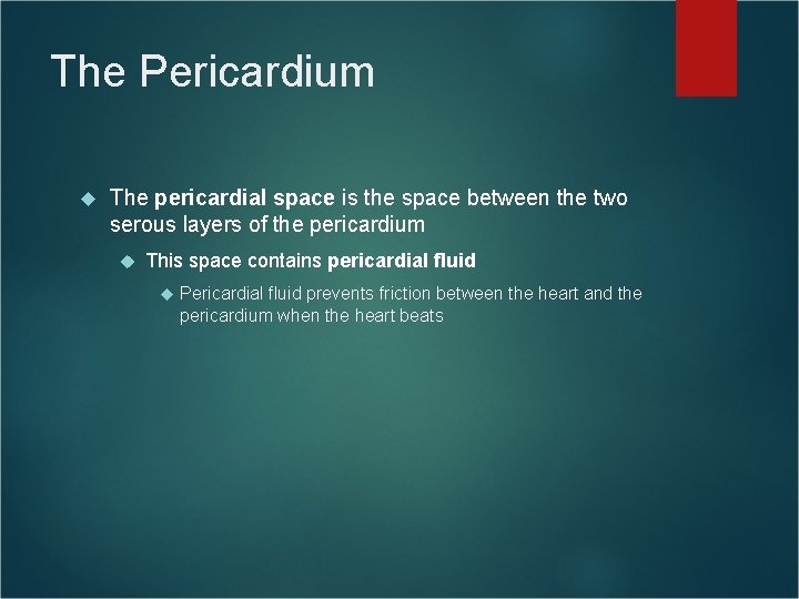 The Pericardium The pericardial space is the space between the two serous layers of The Pericardium The pericardial space is the space between the two serous layers of