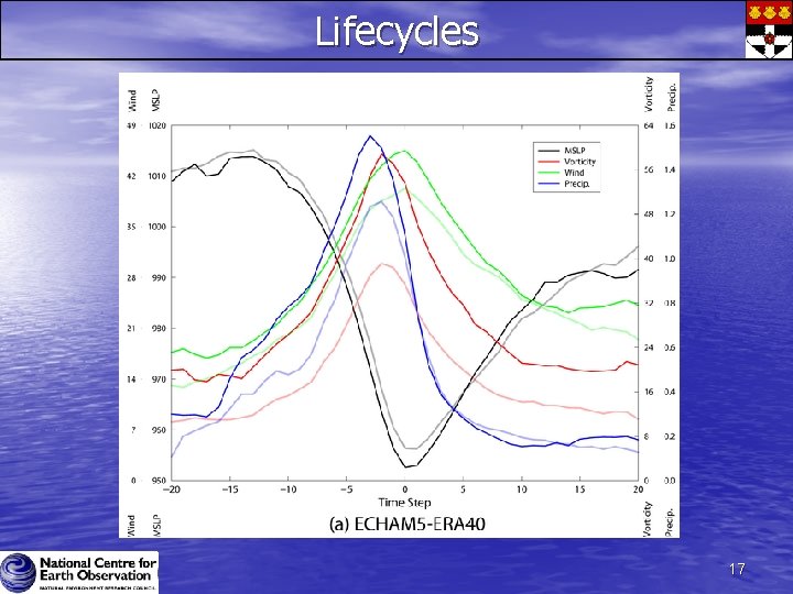 Lifecycles 17 Lifecycles 17