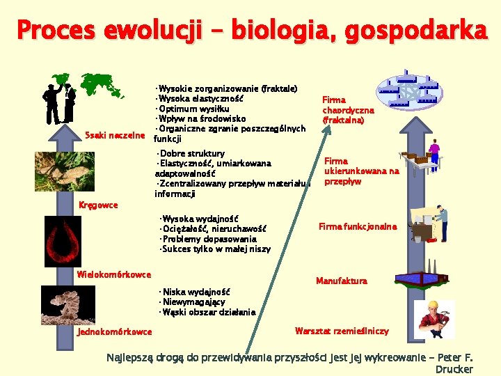 Proces ewolucji – biologia, gospodarka Ssaki naczelne Kręgowce • Wysokie zorganizowanie (fraktale) • Wysoka