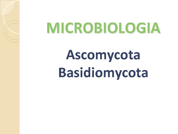 MICROBIOLOGIA Ascomycota Basidiomycota 