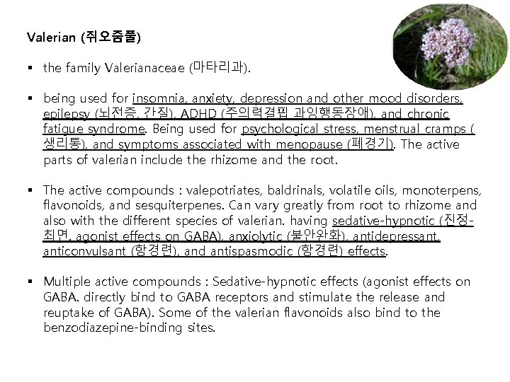 Valerian (쥐오줌풀) § the family Valerianaceae (마타리과). § being used for insomnia, anxiety, depression