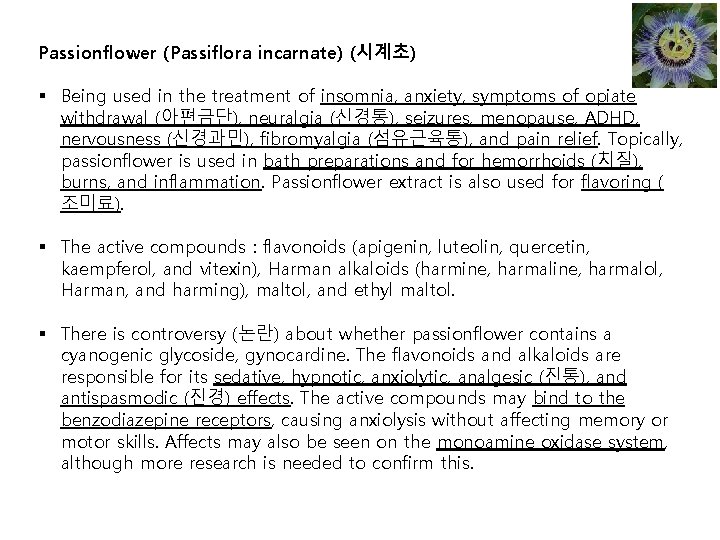 Passionflower (Passiflora incarnate) (시계초) § Being used in the treatment of insomnia, anxiety, symptoms