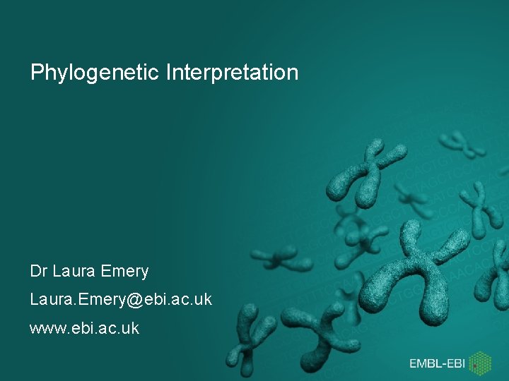 Phylogenetic Interpretation Dr Laura Emery Laura. Emery@ebi. ac. uk www. ebi. ac. uk 