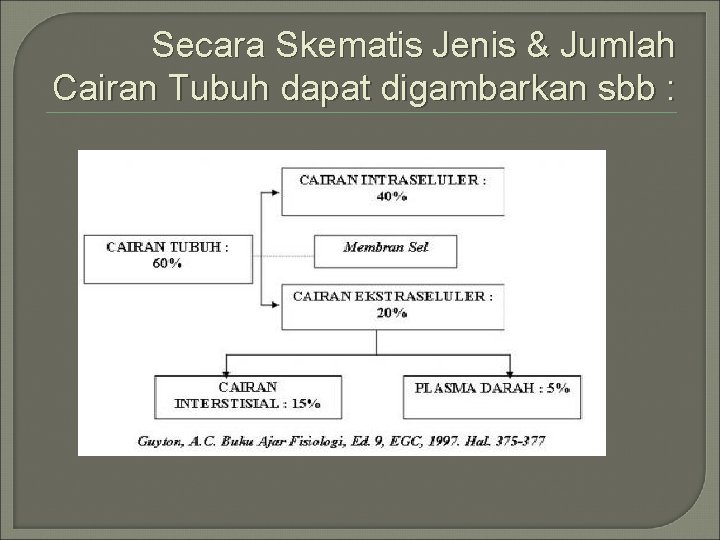 Secara Skematis Jenis & Jumlah Cairan Tubuh dapat digambarkan sbb : 