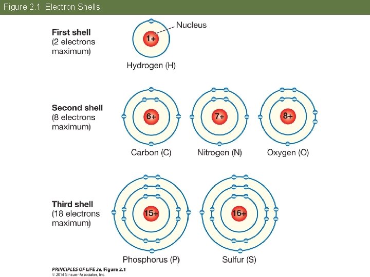 Figure 2. 1 Electron Shells 