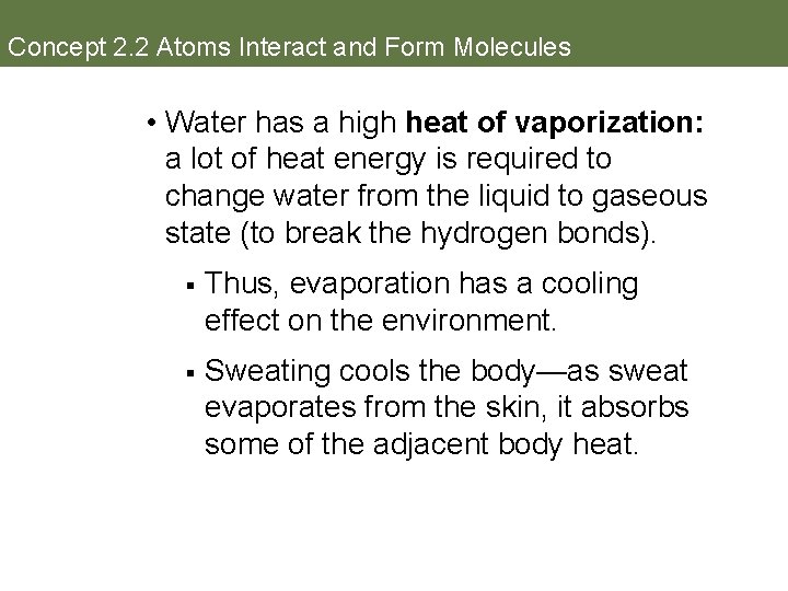 Concept 2. 2 Atoms Interact and Form Molecules • Water has a high heat
