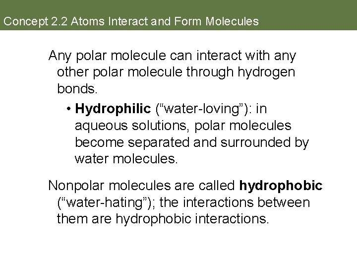 Concept 2. 2 Atoms Interact and Form Molecules Any polar molecule can interact with