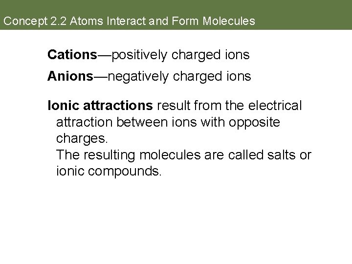 Concept 2. 2 Atoms Interact and Form Molecules Cations—positively charged ions Anions—negatively charged ions