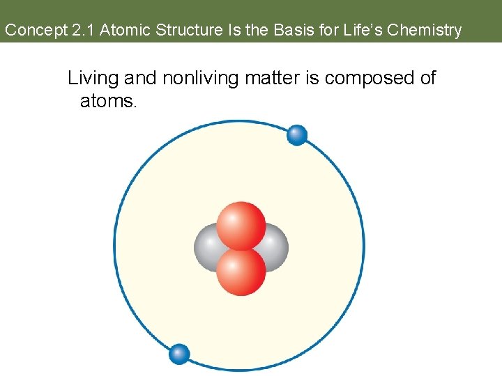 Concept 2. 1 Atomic Structure Is the Basis for Life’s Chemistry Living and nonliving