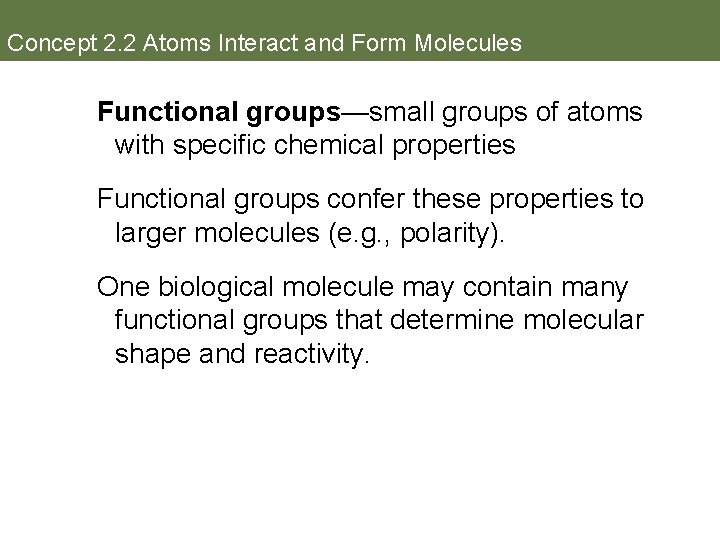 Concept 2. 2 Atoms Interact and Form Molecules Functional groups—small groups of atoms with