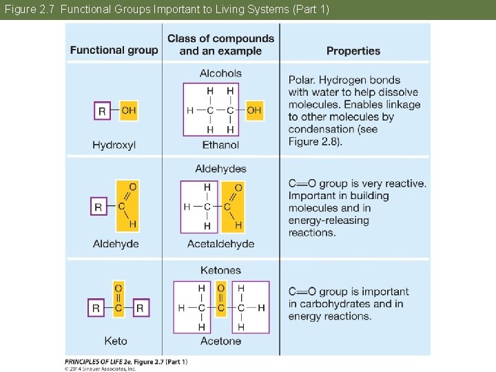 Figure 2. 7 Functional Groups Important to Living Systems (Part 1) 