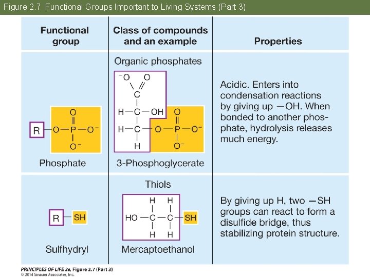 Figure 2. 7 Functional Groups Important to Living Systems (Part 3) 