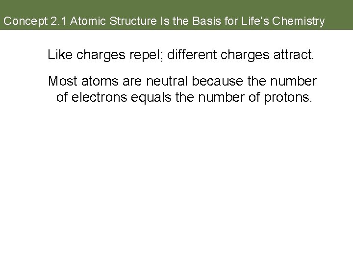 Concept 2. 1 Atomic Structure Is the Basis for Life’s Chemistry Like charges repel;