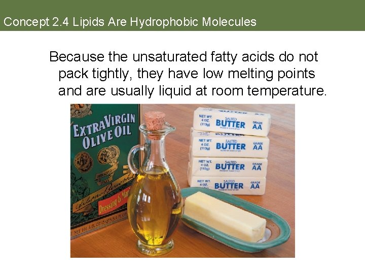 Concept 2. 4 Lipids Are Hydrophobic Molecules Because the unsaturated fatty acids do not