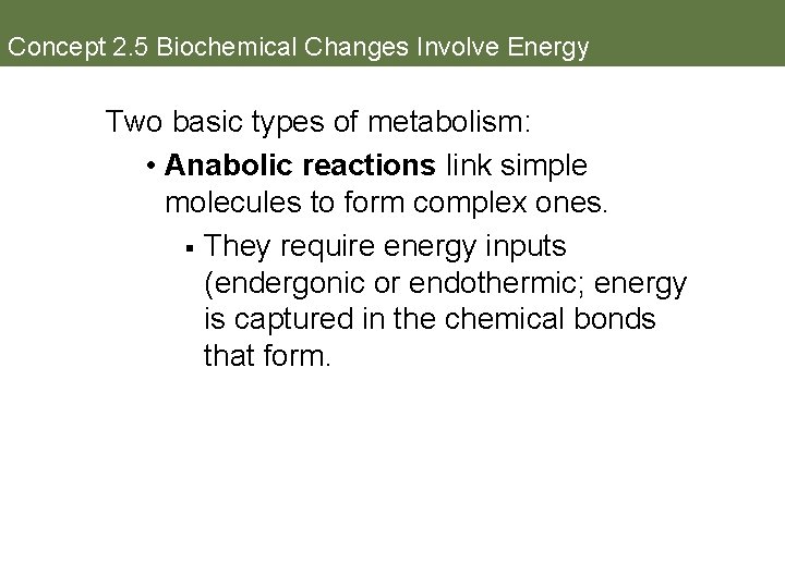Concept 2. 5 Biochemical Changes Involve Energy Two basic types of metabolism: • Anabolic