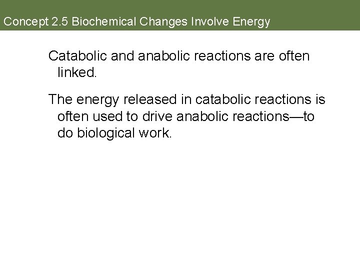 Concept 2. 5 Biochemical Changes Involve Energy Catabolic and anabolic reactions are often linked.