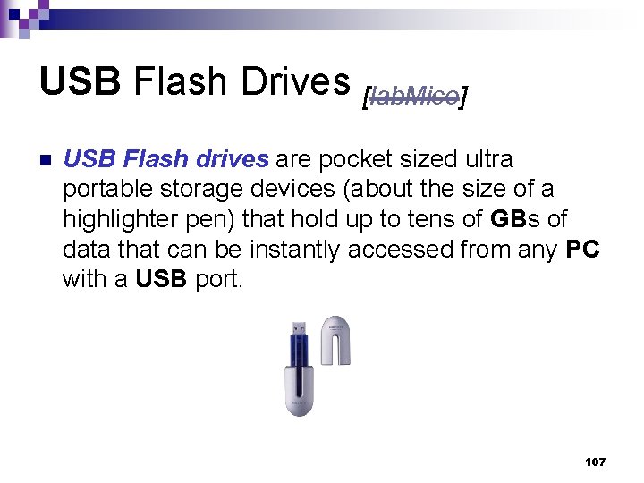 USB Flash Drives [lab. Mice] n USB Flash drives are pocket sized ultra portable