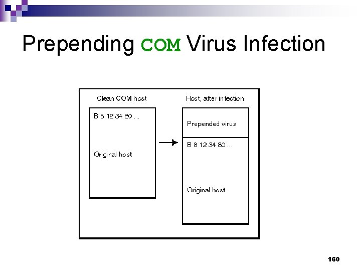 Prepending COM Virus Infection 160 