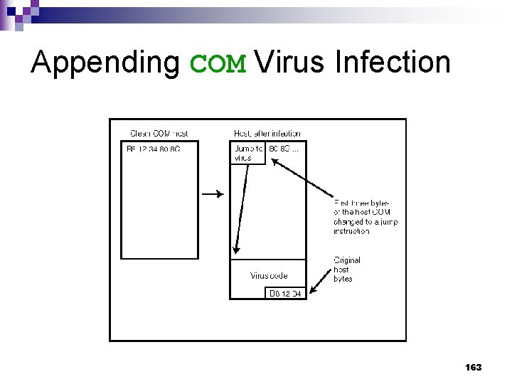 Appending COM Virus Infection 163 