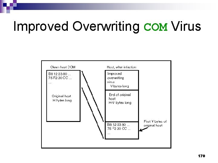 Improved Overwriting COM Virus 170 